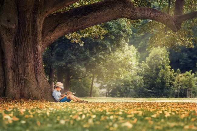 Short Fiction Short Fiction